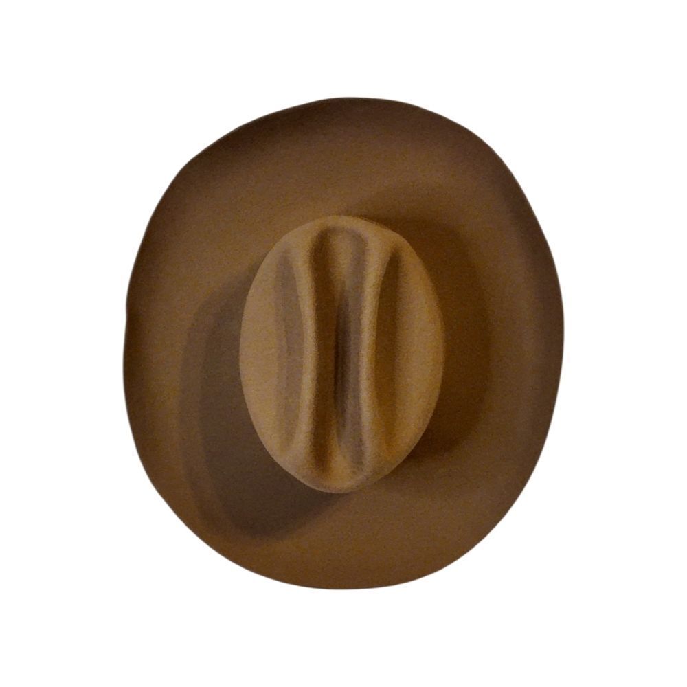 GIGI PIP 100% Australian Wool NWT Tan Cowboy Hat - Picture 3 of 7